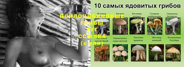 MDMA Елизово