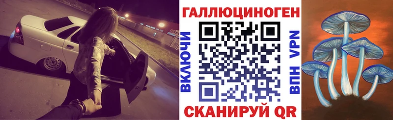 Псилоцибиновые грибы Psilocybe  как найти закладки  Демидов 